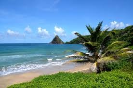 "French Antilles in Caribbean area - plage de Martinique"