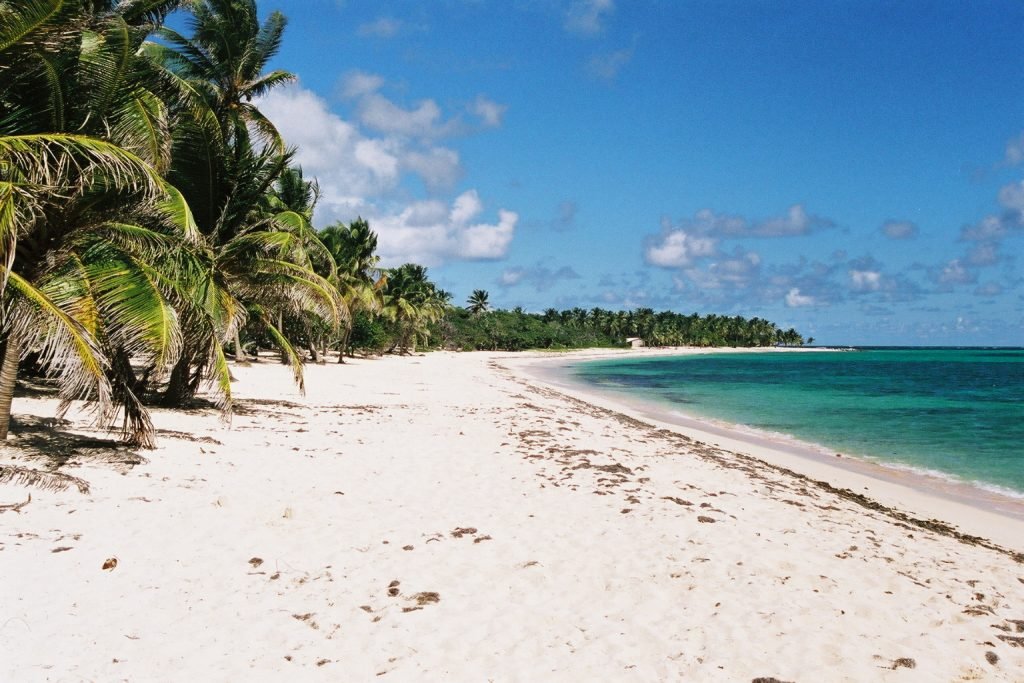 "French Antilles in Caribbean area - plage des Antilles"